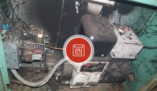 Chicago Mold Removal Services Company near me