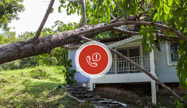 CHICAGO RISK MANAGEMENT COMPANY NEAR ME